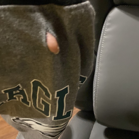 Fur baby, NFL official Eagles jersy Size medium.hoodie has a leash hole. - Picture 3 of 4